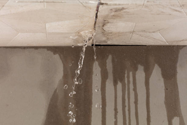 Professional Water Damage Repair technician working in Tarpon Springs, FL